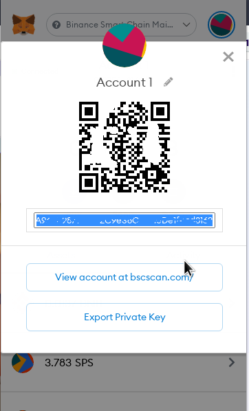 Metamask account details.png