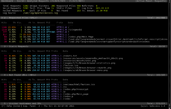 Goaccess Dashboard.png